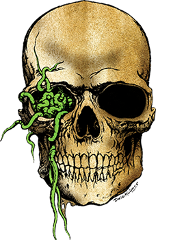 Come Visit Mr. Worms